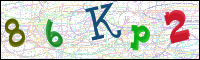 ছবি যাচাইকরণ: